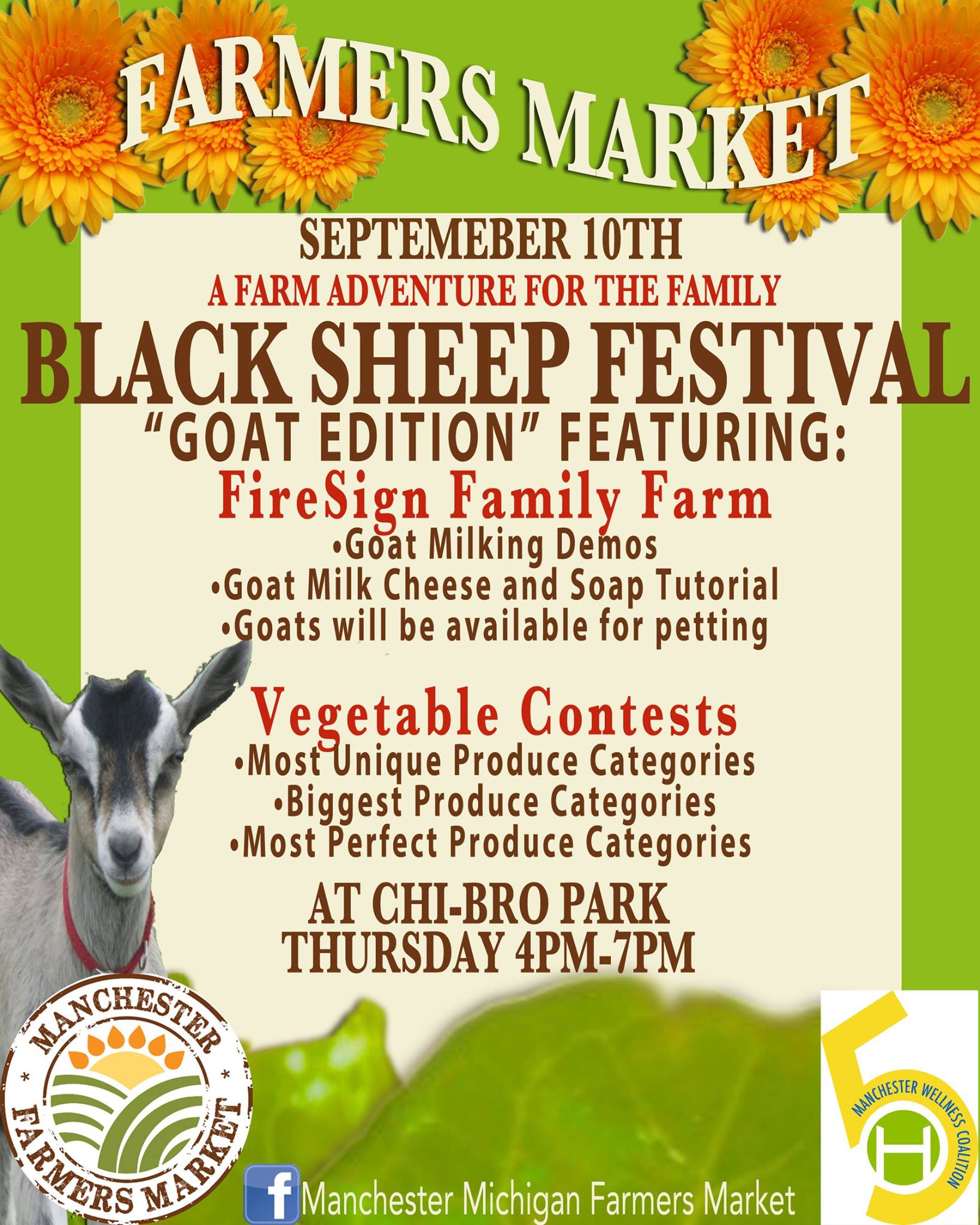 Black Sheep Festival Returns with Goats The Manchester Mirror