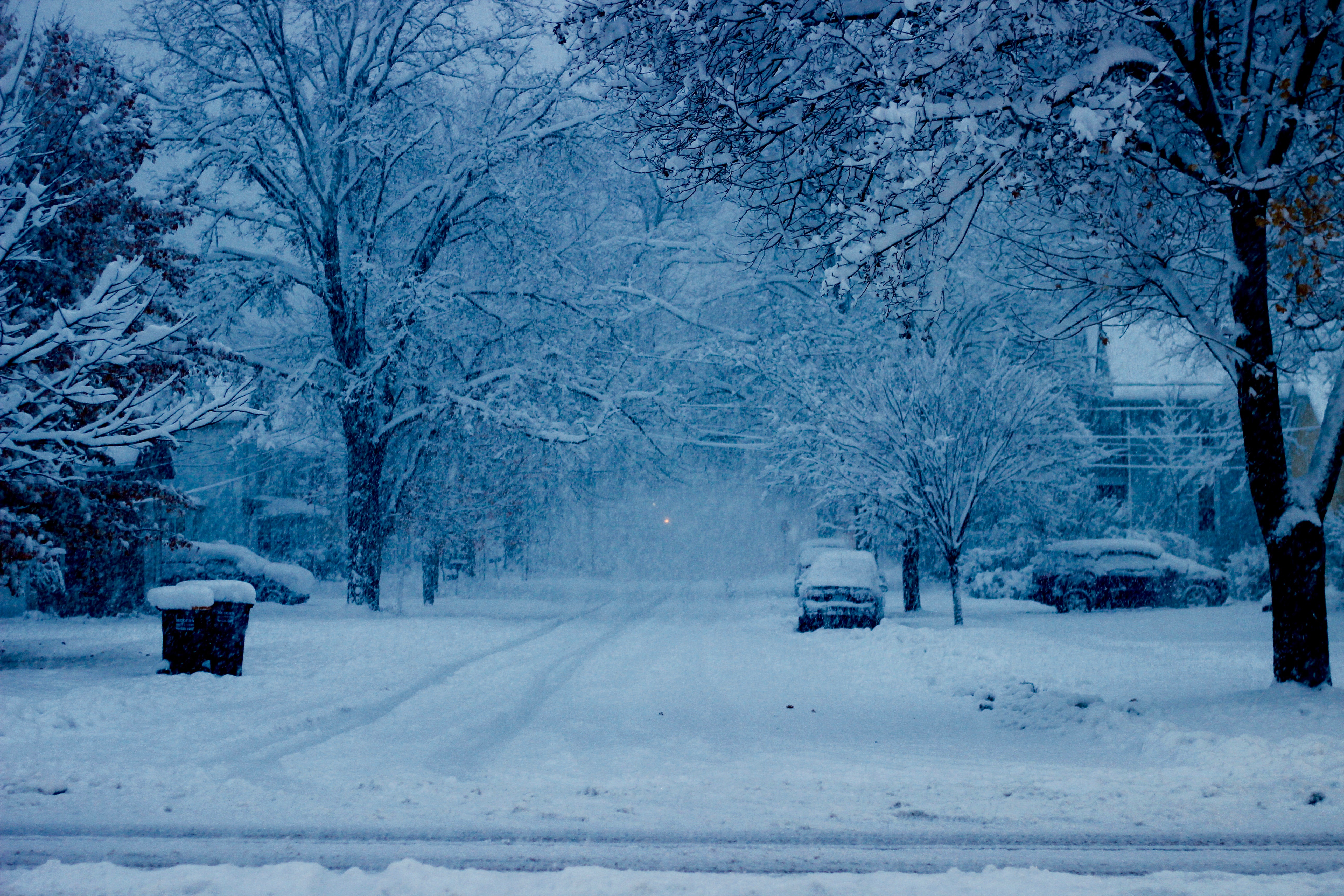 First Snow Storm of the Season (photos) | The Manchester Mirror