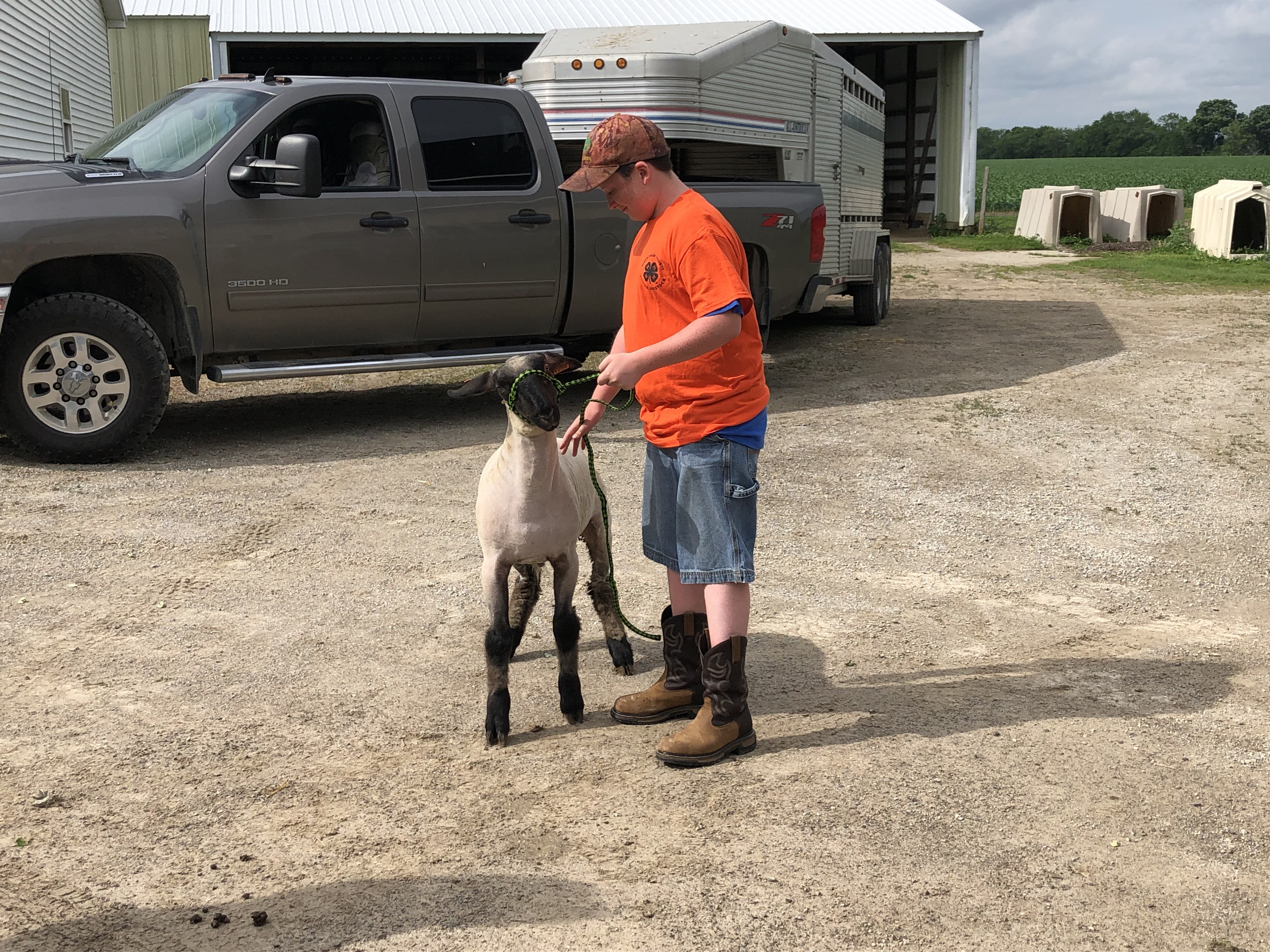 Local kids get ready for Washtenaw 4-H Fair | The Manchester Mirror