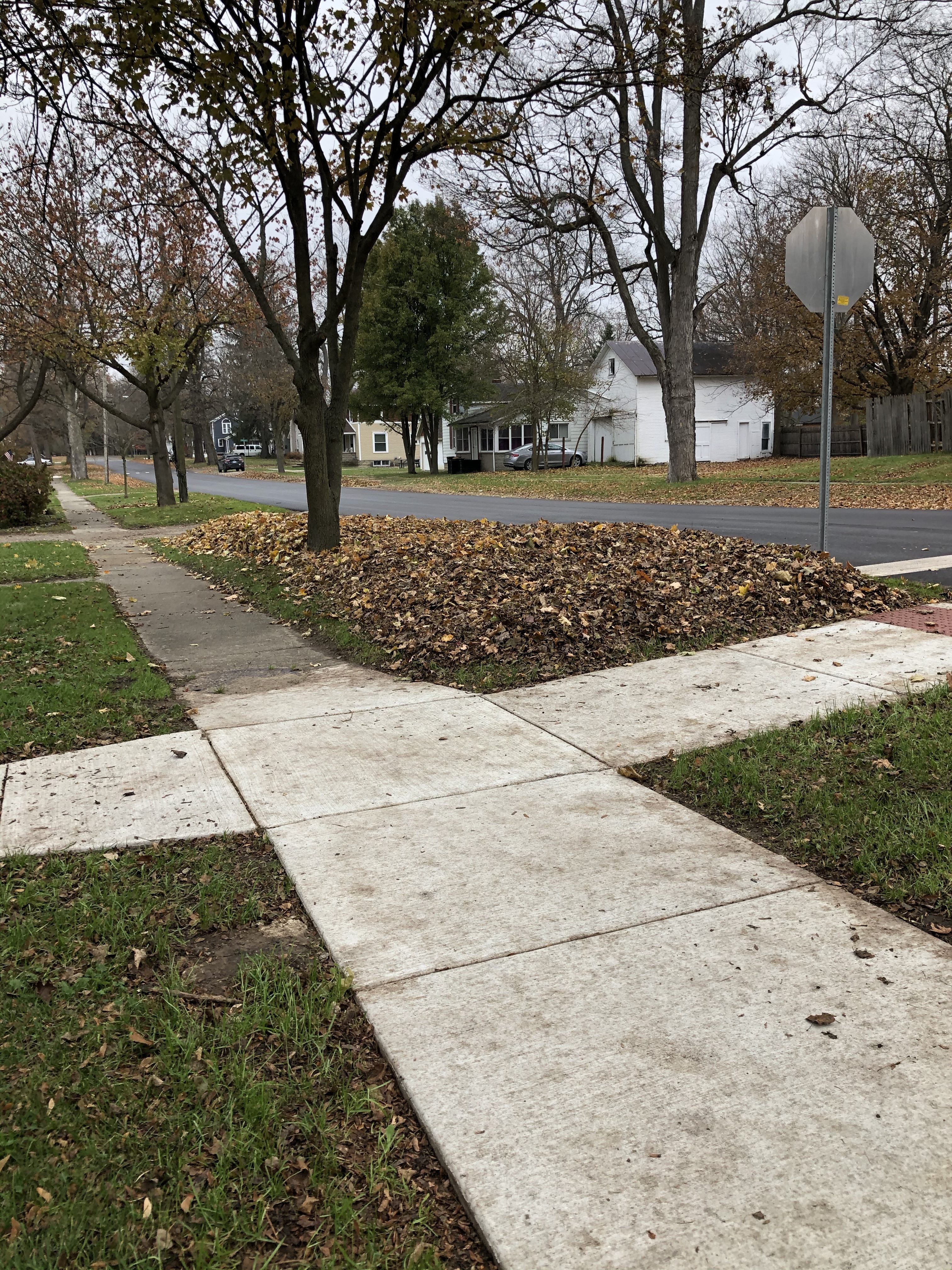 Leaf pickup ongoing along village streets The Manchester Mirror