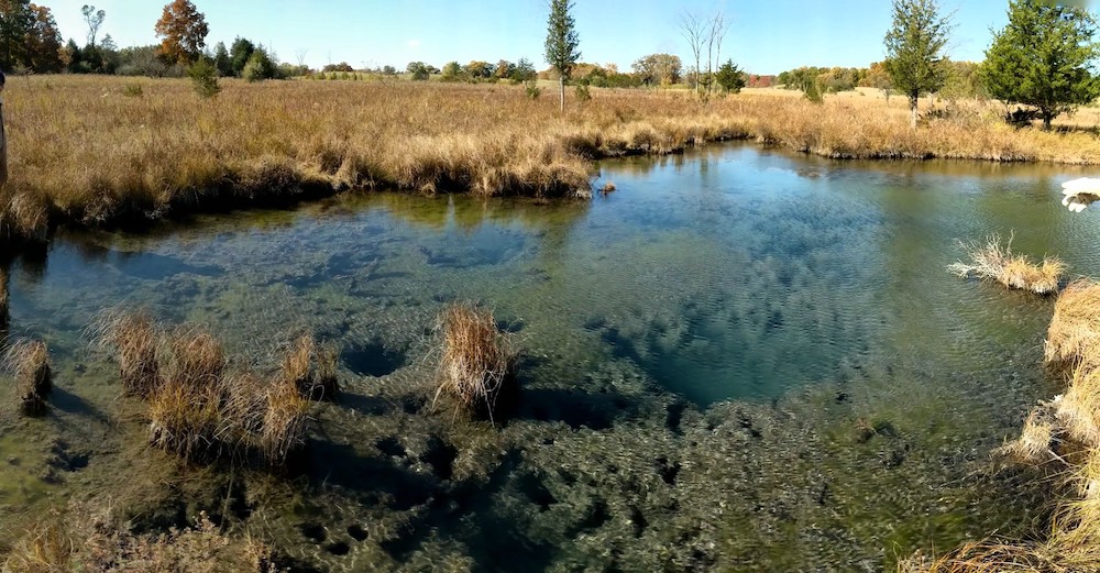 Grand River Fen Preserve  The Nature Conservancy in MI