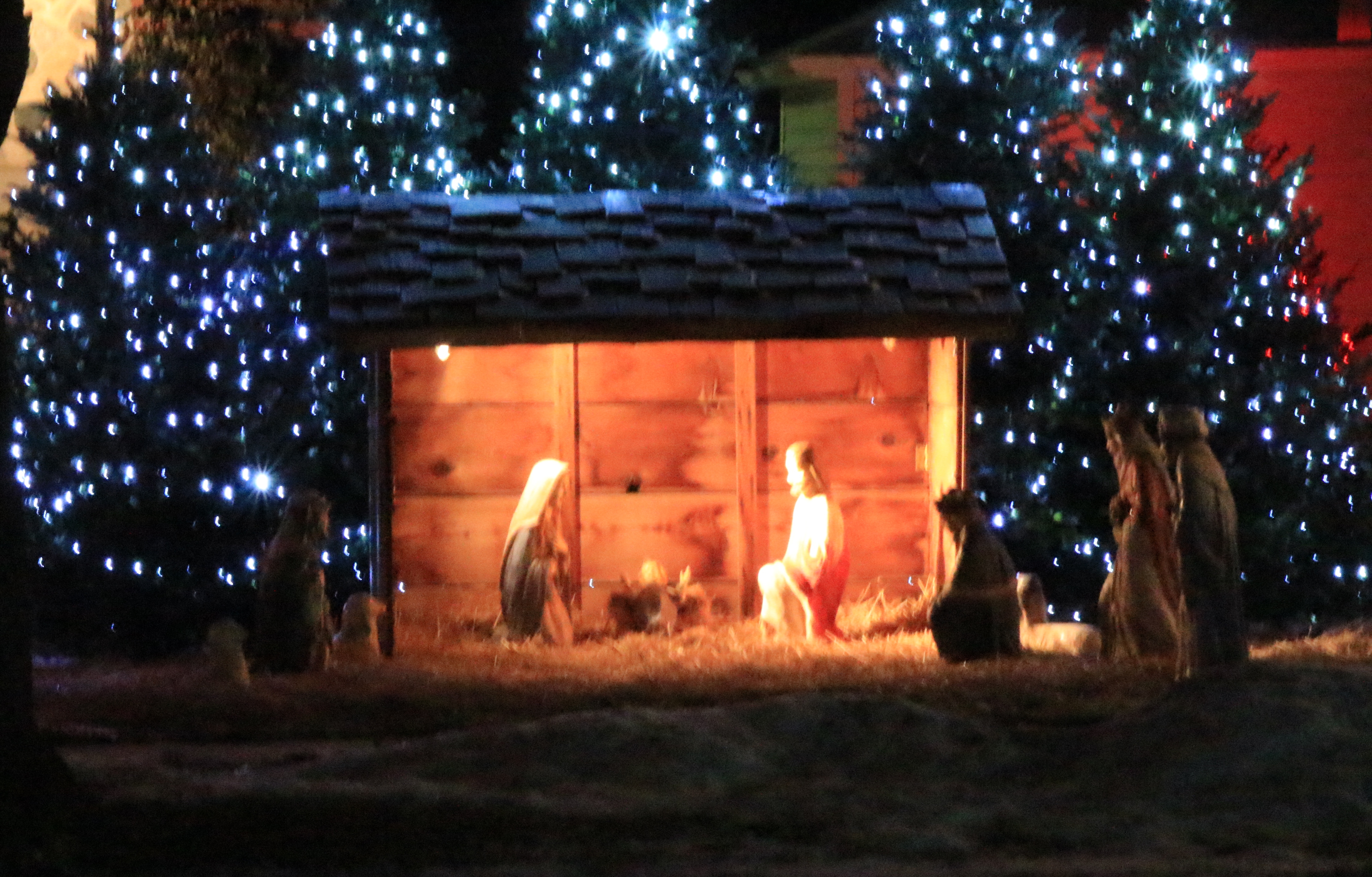 Nativity at St. Mary's