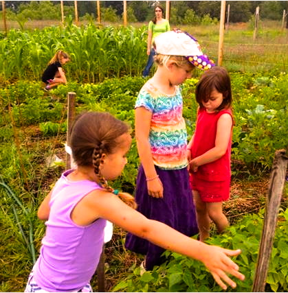 Manchester Community Garden - Teaching a Lifeskill to Students | The ...