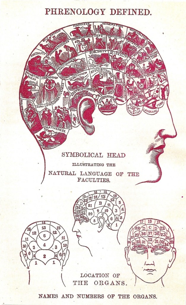 Figure 2 - Phrenology Head Illustration