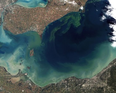 Toxic Algae Bloom in Lake Erie, photo credit: Jesse Allen and Robert Simmon - NASA Earth Observatory