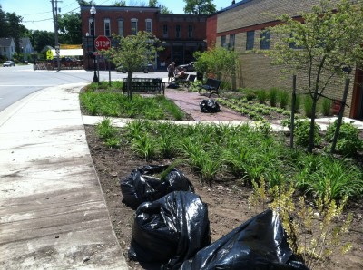 When all was said and done, many large bags of weeds were ready for pickup. New mulch and some annuals will be placed in the seating area to make it look attractive this summer. 