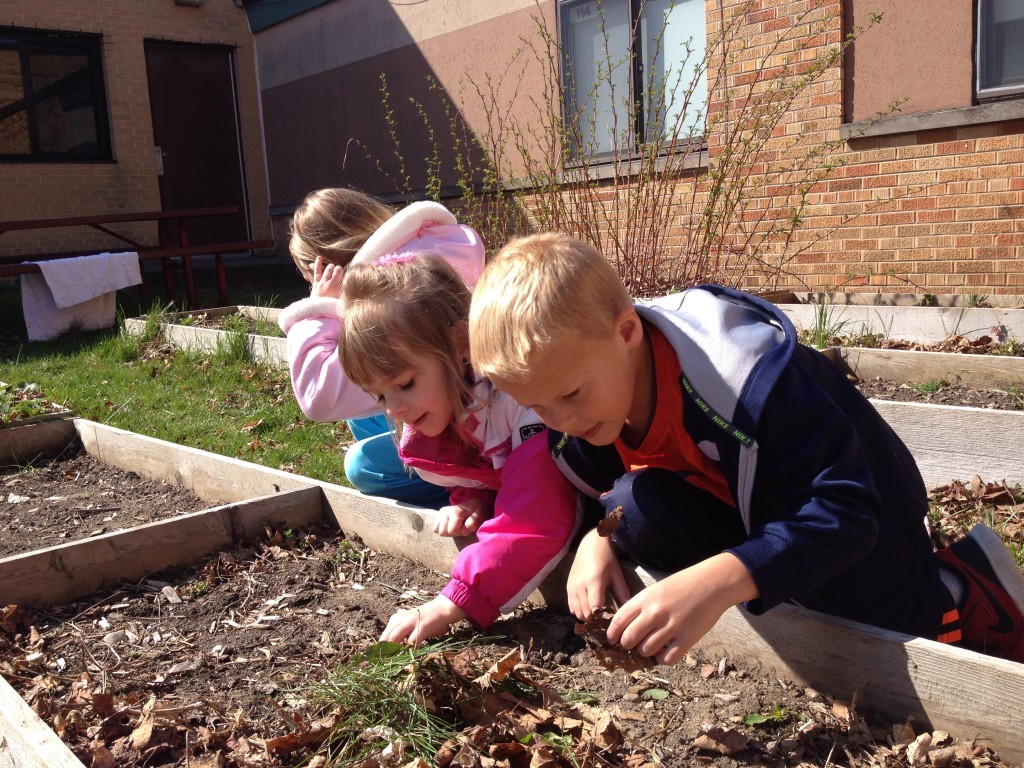 Manchester Co-op Preschool students investigating the raised garden beds outside of the Ackerson building. 