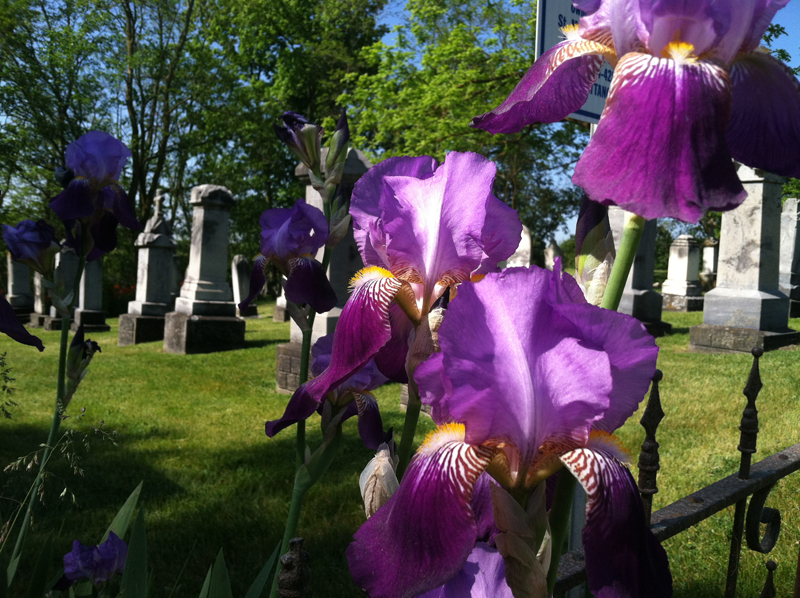 Summer in St. Francis Cemetery in Freedom Township. Photo courtesy of St. Mary, Manchester.