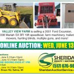 Web Auction Ads May 30 and June 6