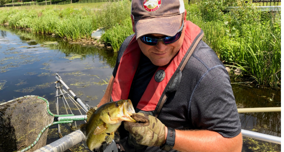 As PFAS fears spread, Michigan ramps up testing by zapping fish | The ...