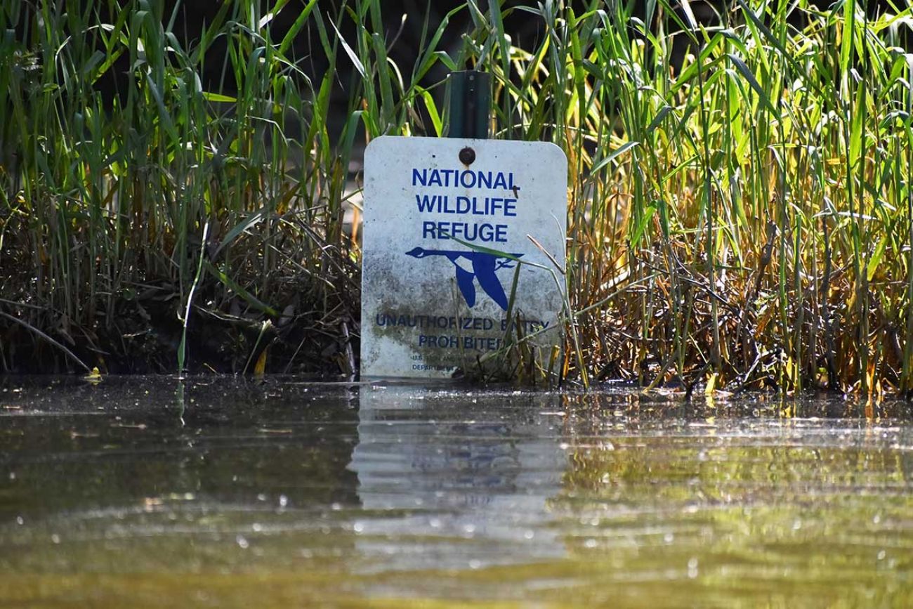 Michigan communities turn to wetlands to prevent damage during floods | The Manchester Mirror