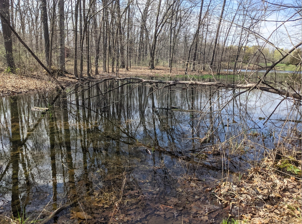 Sharon Township property conserved, adds to Sharon Short Hills Greenway ...